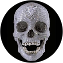 BoozyPirate BoozyPirate